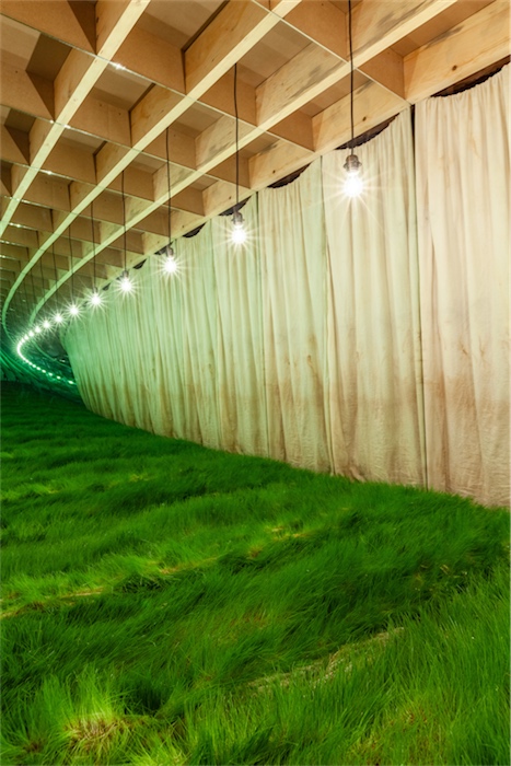 1567687432_IstanbulModern_CananTolon_009